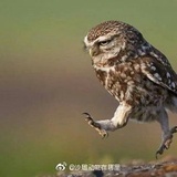 哎哟哟哟哟