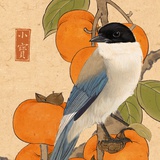 豆友202938311