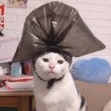 桥下乞丐