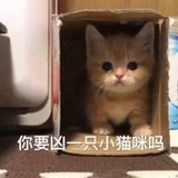 甜桃蒙布朗