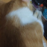 mzm