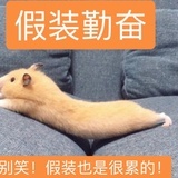 稍息立正站好