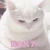 辣条少女团团