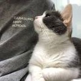白日梦
