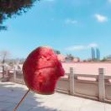 🌸小花🌺