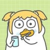 挑食的猪猪