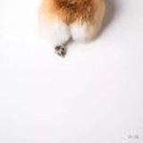 穆如清风