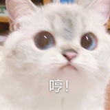 哆啦A丸子