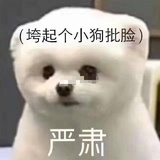 实验辣鸡小狗蛋