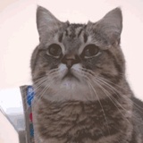 徒然草