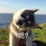 YUUJ