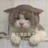 乐寻yue