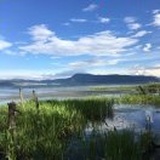终身学习者