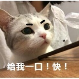 樱桃vip