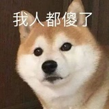 小liu忙啊