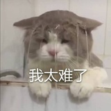 乌拉哇啦