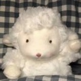 九月鸭鸭