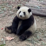 投缘的嘛