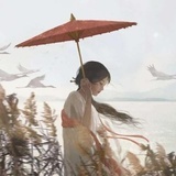 木又人归