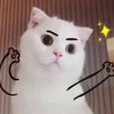 遇到问题解决就