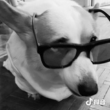 豆友203244873