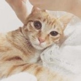 Mok寶🐱
