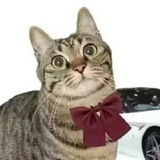青云