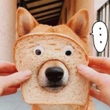 恕己