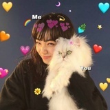7991