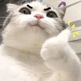 明镜秋霜