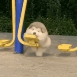 自由时间