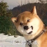 豆友203337018