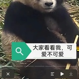 杨莉