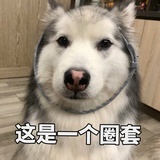 荔枝好多肉