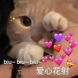 梓木子君