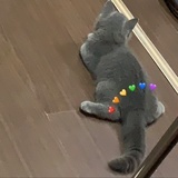 康师傅