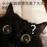 何处是星辰
