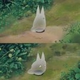 紫菱