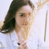 荔枝哥哥的橘子