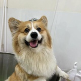 豆友203518903