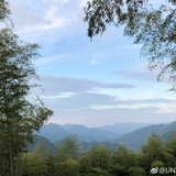 青青陌上桑