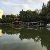 豆友203544824