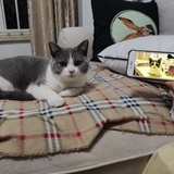 Paul
