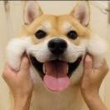缓缓.