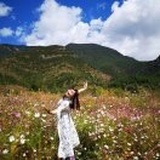  草莓
