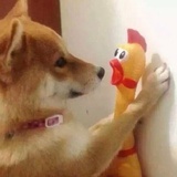 吃葡萄吐皮吗