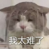 国家特许江湖骗子