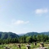 东程西就