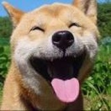 有为青年