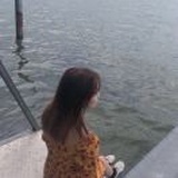 羊羊